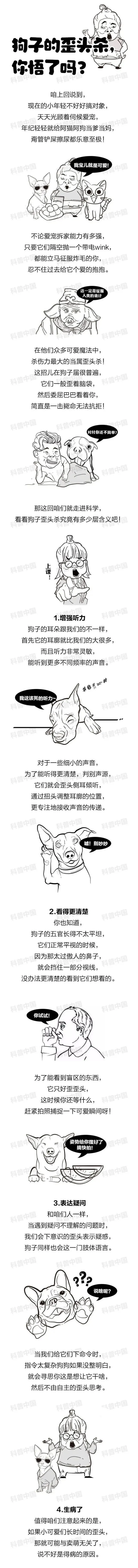 万万没想到，狗子的“歪头杀”可不只是为了卖萌！还有这些原因…