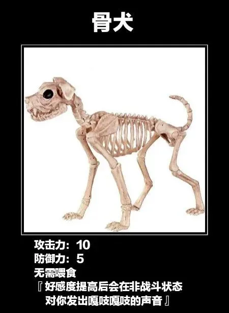 沙雕宠物在哪里？我要把它们都带上一起冒险！