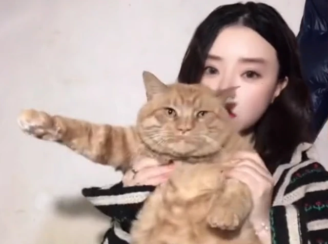 陕西一小姐姐抱猫咪拍视频，嘟嘴准备亲吻时，猫咪一口咬在她嘴上
