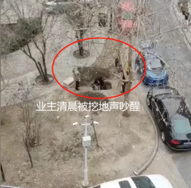 男子清晨在小区内挖坑，行色匆匆怕吵醒他人，旁边还放着个小棺材