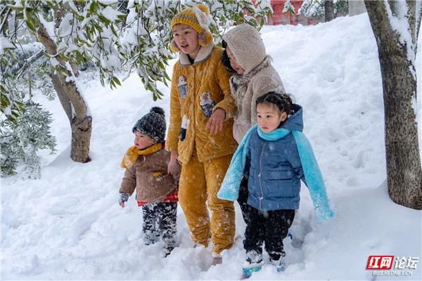 雪天不寂寞，下雪天的各种玩法你会几种？