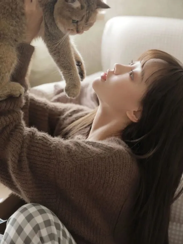 冬日的被窝里，有小猫和我