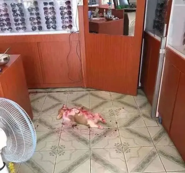 千万！不要在海底捞要帅哥微信……哈哈哈这画面就离谱！