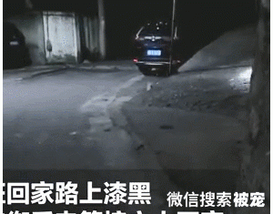 女子下班回家路面漆黑，汪叼着手电筒出来迎接：别怕，我接你回家