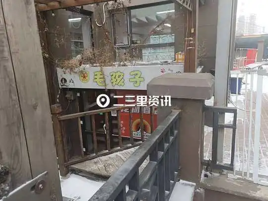 宠物酒店进小区，业主直呼：狗吠声彻夜不停，吵得睡不着觉