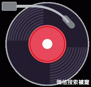 “你肯定猜不到戴夫怎么了·它卡在门上了！”《胖猫戴夫》【晚安故事】