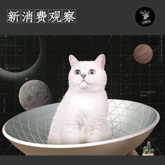 靠卖猫砂，这个品牌抢跑3000亿宠物市场