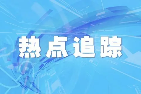 送别离世宠物需要仪式感吗？调查宠物殡葬行业发展现状
