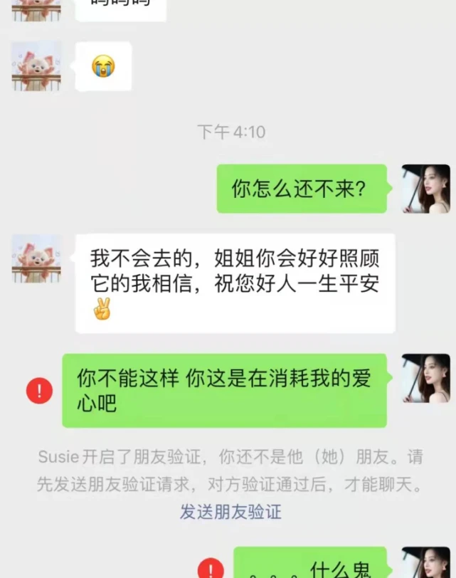 “我这不是收容所！”女孩救猫反被邻居利用，不要的猫果断丢给她