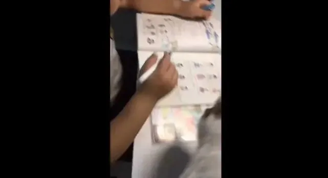 猫咪特粘小主人，写作业却遭猫咪阻挠，可爱极了