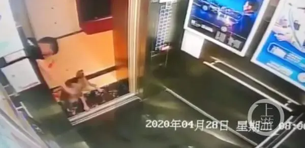 偷狗虐打后遗弃在电梯里！男子被判拘役三个月！