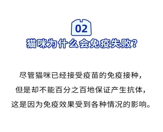 “我家猫打完疫苗后得了猫瘟……”