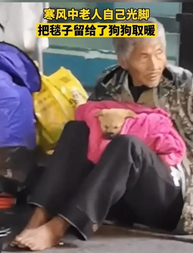 寒风中，流浪汉光着脚却把毯子给了小狗，“我的狗不是流浪狗”