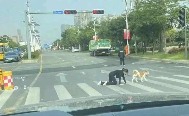 广东：狗遛人还是人遛狗？女子被拴狗绳跪地爬行，保安看懵了