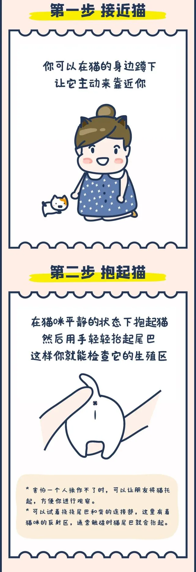 养了半年的猫妹妹，屁屁上突然长出了肉球球……啊？！