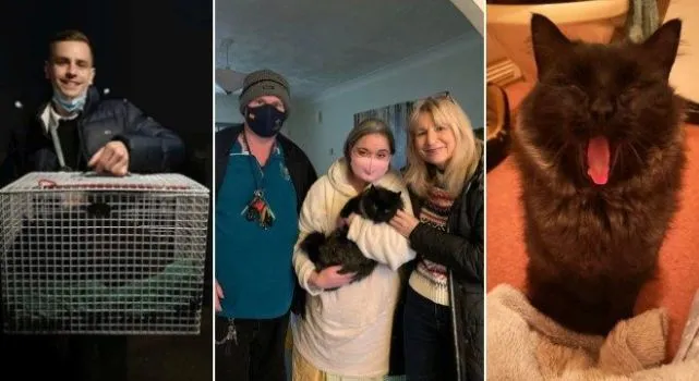 猫咪在服务区走丢，7个月后被发现还在原地等主人