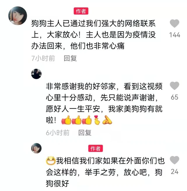 疫情挡不住温情！大叔连续20多天帮邻居喂狗，用行动诠释善良