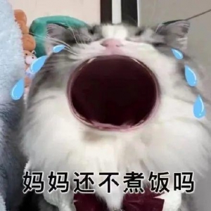 大嘴可爱猫猫表情包（聊天必备）