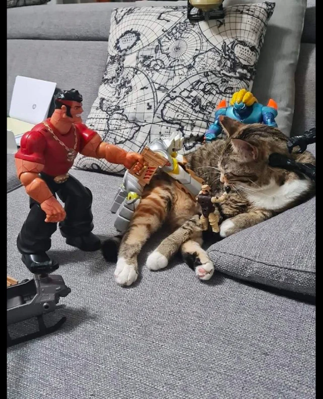 猫咪在休息，主人在它的身边放了各种手办打它，猫：摆拍好了没？