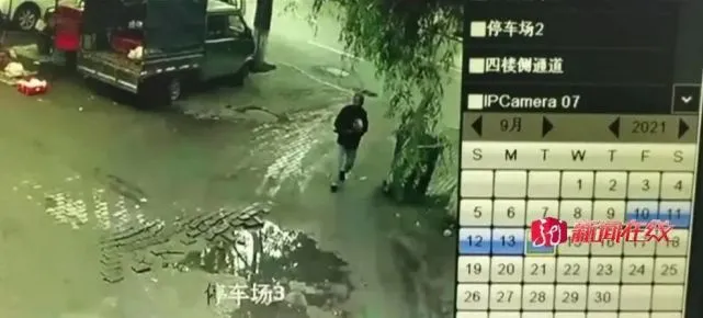 两只宠物鸡被人抱走，主人担心已经下锅