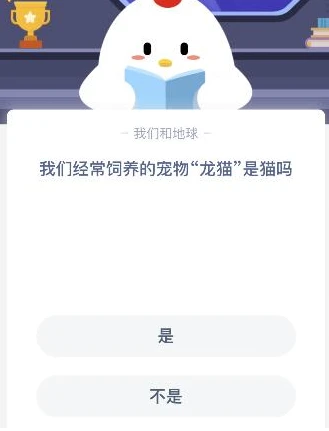 我们经常饲养的宠物龙猫是猫吗 1月13日蚂蚁庄园今日答案