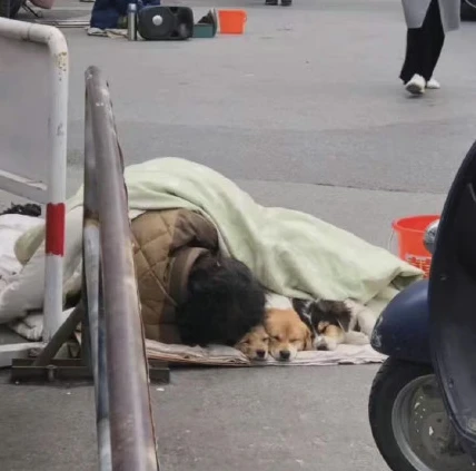 流浪汉为狗庆生上热搜：没有被爱的人，却拥有爱人的能力
