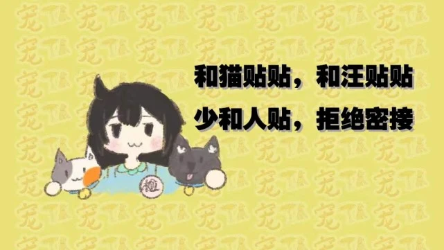 宠TA｜集中隔离可以带猫！一起看第一视角记录