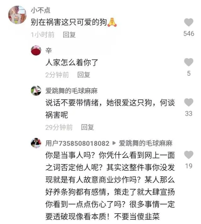 熊磊带狗去宠物医院，声称要完成郭策心愿，照顾好他的爱宠