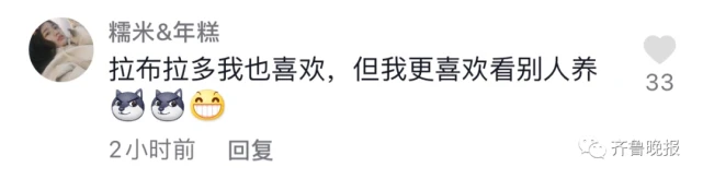 女子隔离14天，通过监控看狗子把家拆完！