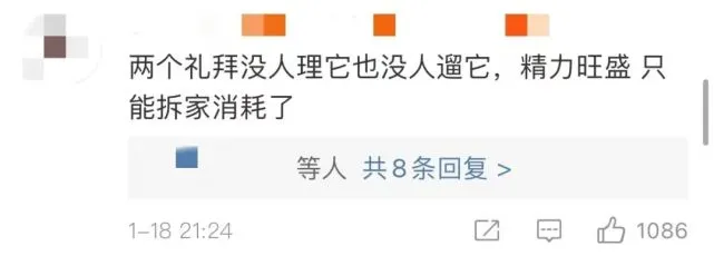 绝望了……女子隔离14天，监控看狗子一点点把家拆完……