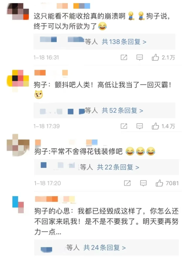 绝望了！女子隔离14天，监控看狗子“拆家直播”把家拆完