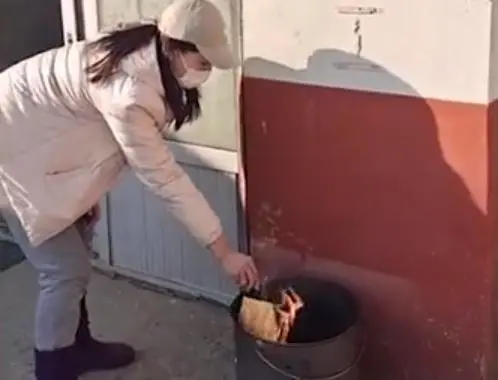 河北老人去世小猫绝食，两天后随主人西去，生前踉跄身影令人泪目