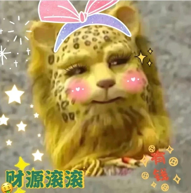 新年豹豹～谁能拒绝一只可爱的金钱豹呢