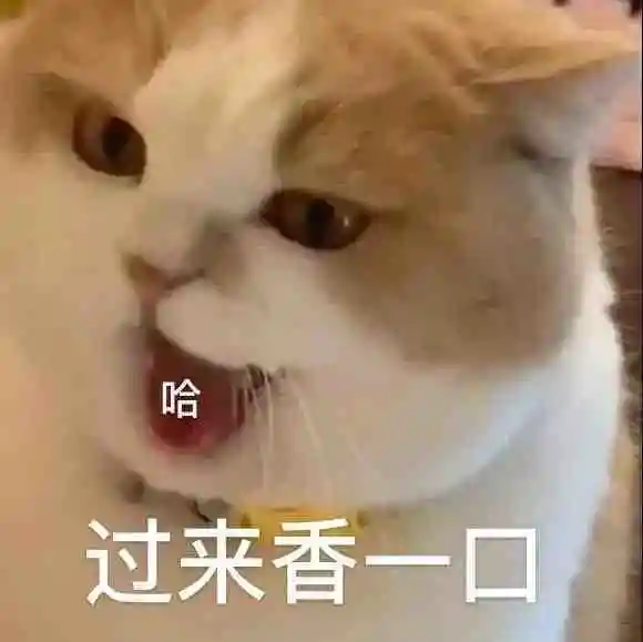 可爱猫猫表情包：小猫咪坏心眼多着呢