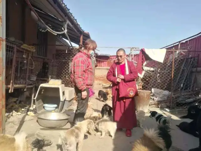 山东青岛：小动物们的快乐新年