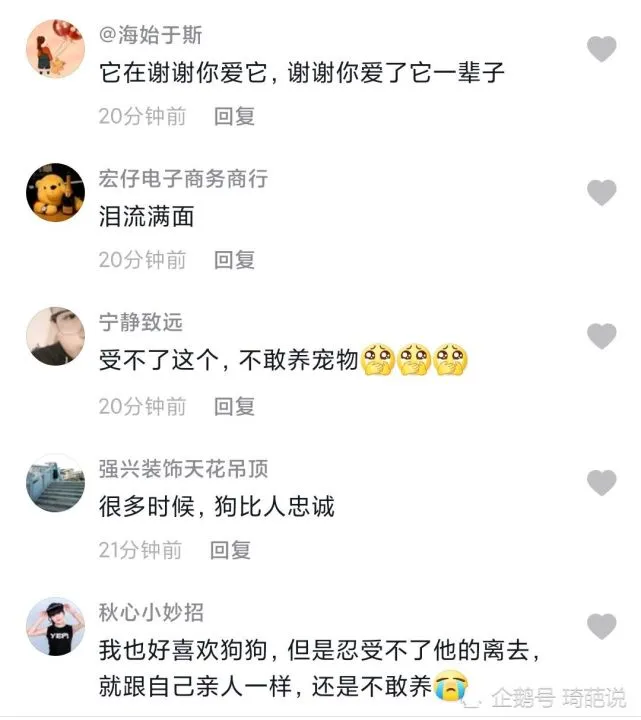 狗狗去世前用尽全力跟主人拜别，主人：我还是没办法说再见！