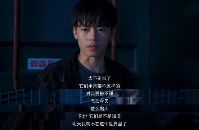 《开端》连猫都拍成了隐藏的主角，为什么刘涛却当了“镜子”？