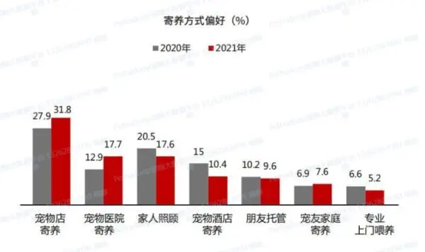 春节前宠物寄养火爆，上门喂养服务兴起！周到君带你体验上门遛狗……
