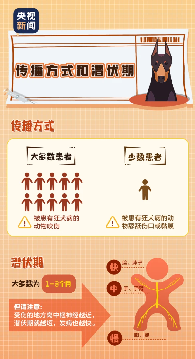 文明养犬小知识