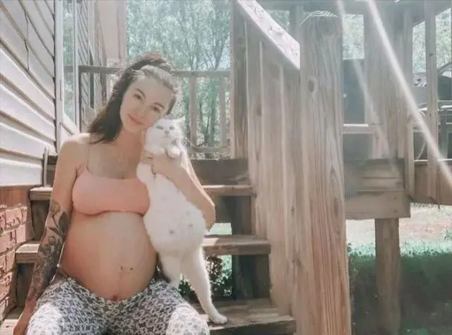 怀孕猫妈路边流浪，临近分娩却无家可归，女子一招手，收获6只猫