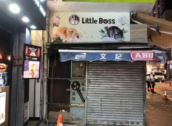 香港：宠物店，检出阳性！