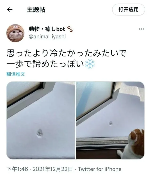 踏出“一步”～果断放弃？