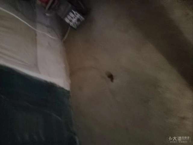 太恶心了！镇江新区某小区网友忍无可忍爆料……谁来管管？