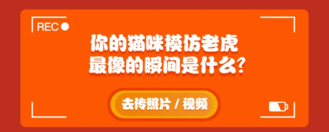 啊！吸了这只送祝虎