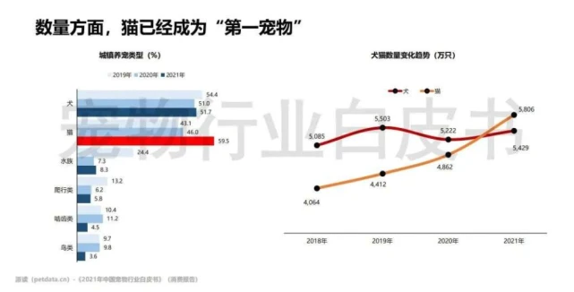 养一头胖虎，你要花多少钱？