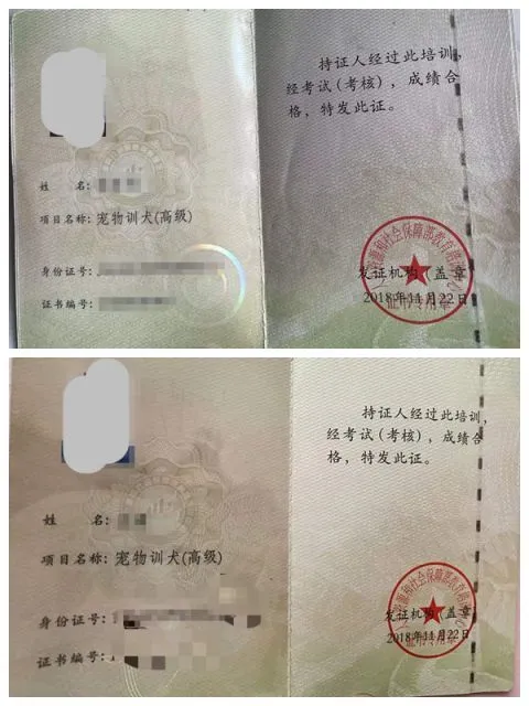花7000元送狗子上学，结果……