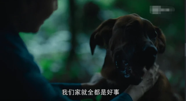 人世间：把小狗当精神支柱，却忍心看它与狼撕咬，周蓉的心太狠毒