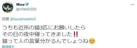 猫咪走丢后，铲屎官被迫无奈用上玄学找猫，结果真成功了！