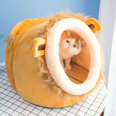 猫为什么不喜欢睡猫窝？猫到底是不是智商税？
