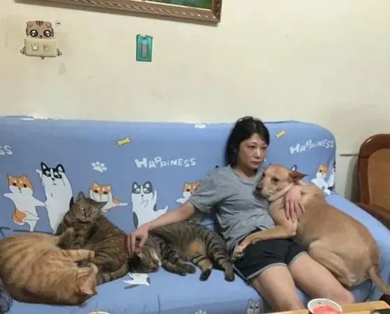 拿一片猪肉干配电视，旁边“7坨大小肉球”包围紧盯，妈压力超大